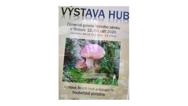 Výstava hub