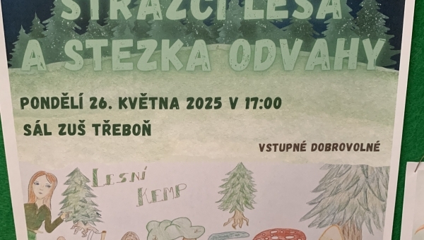 Divadelní představení v ZUŠ