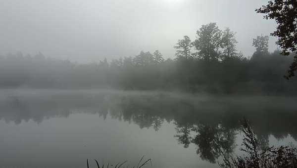 Branný den 3.10.2025