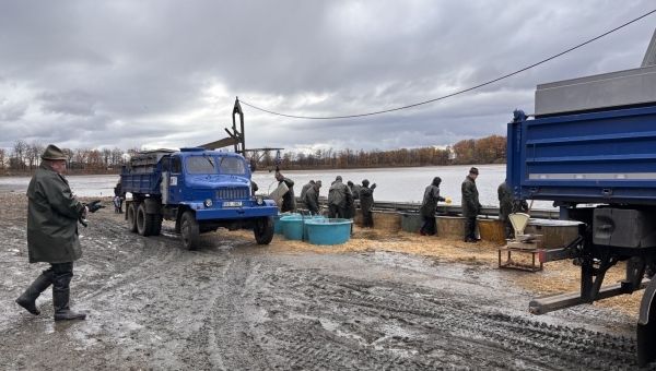 Výlov rybníka Svět