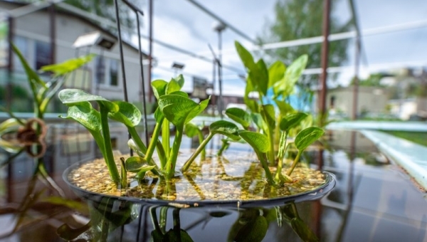 Botanická zahrada AV ČR 2026