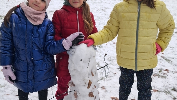 Dovádění  ve sněhu 