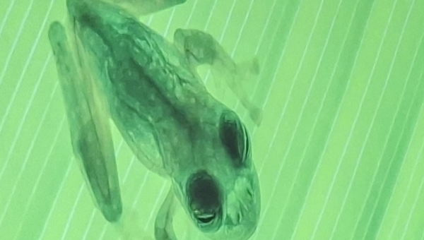 Fotograf Vítek Lukáš 