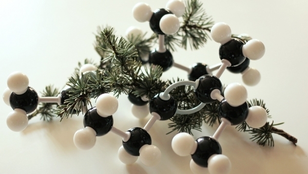 Přírodovědná soutěž