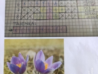 TAJENKA