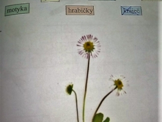 DOMÁCÍ UČENÍ