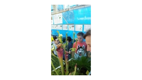 Botanický ústav AV ČR